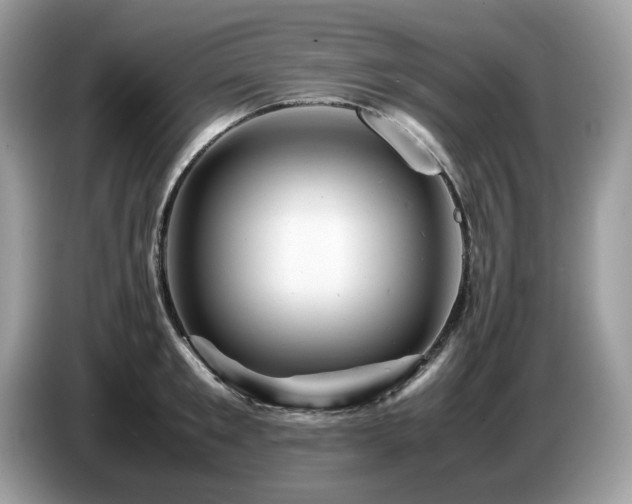 X0000087620901200704271356