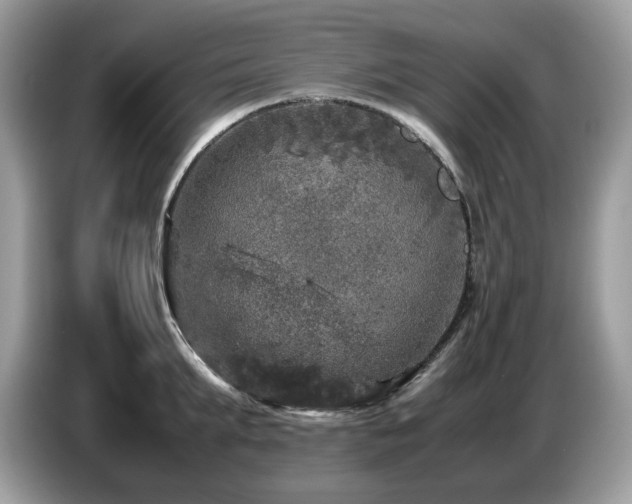 X0000087620903200704271356