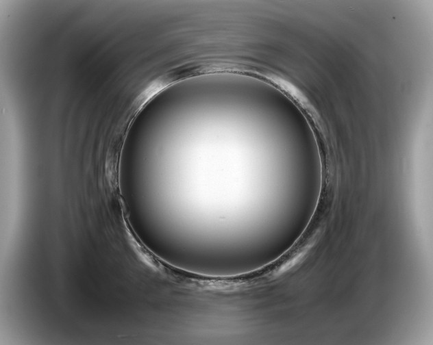 X0000087620905200704271356