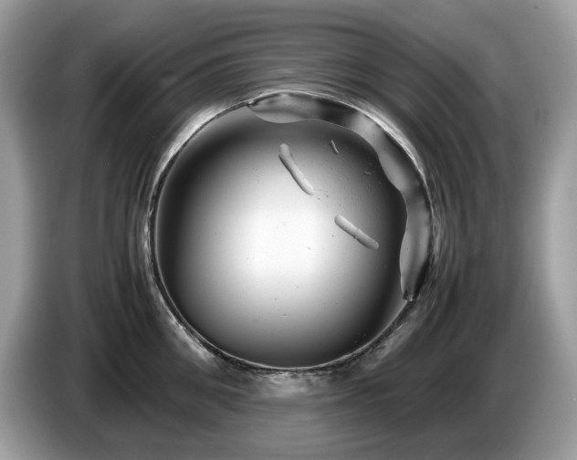 X0000087620906200704271356