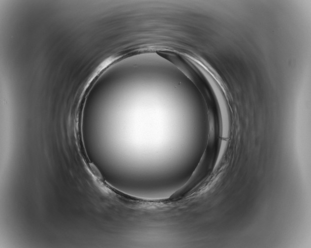 X0000087620909200704271356