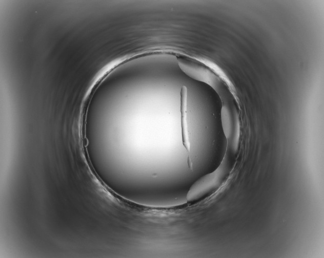 X0000087620910200704271356