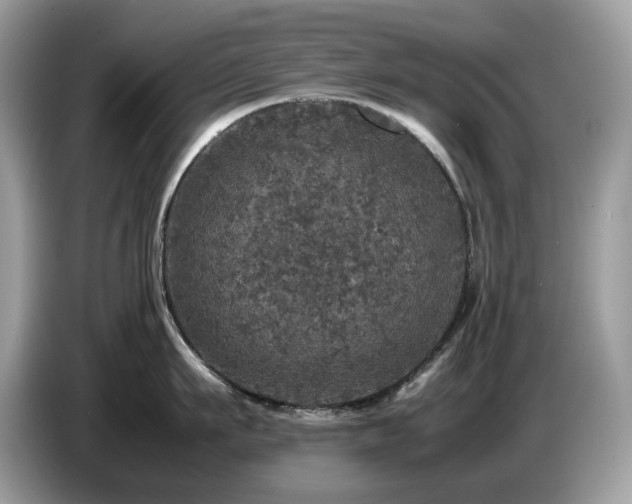 X0000087620911200704271356