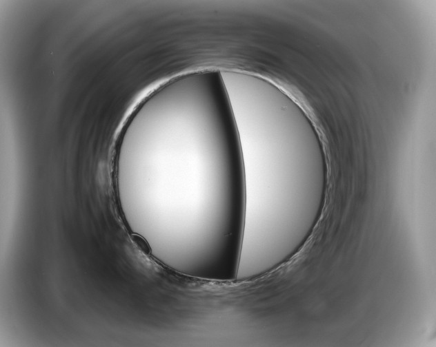 X0000087620912200704271356