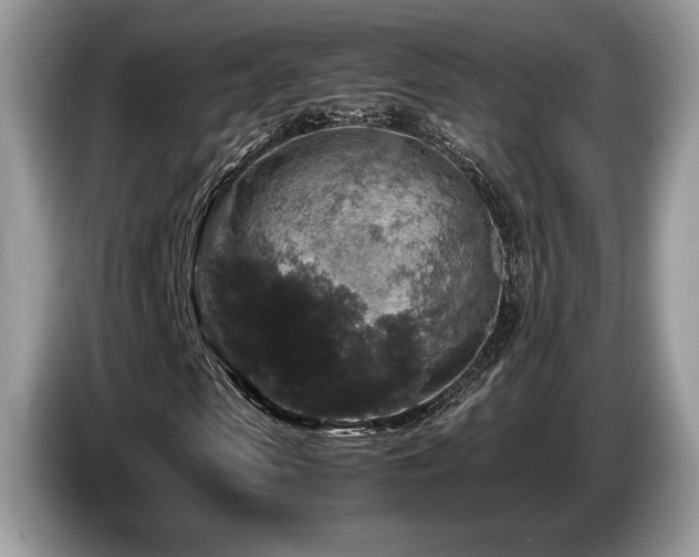 X0000087620913200704271355
