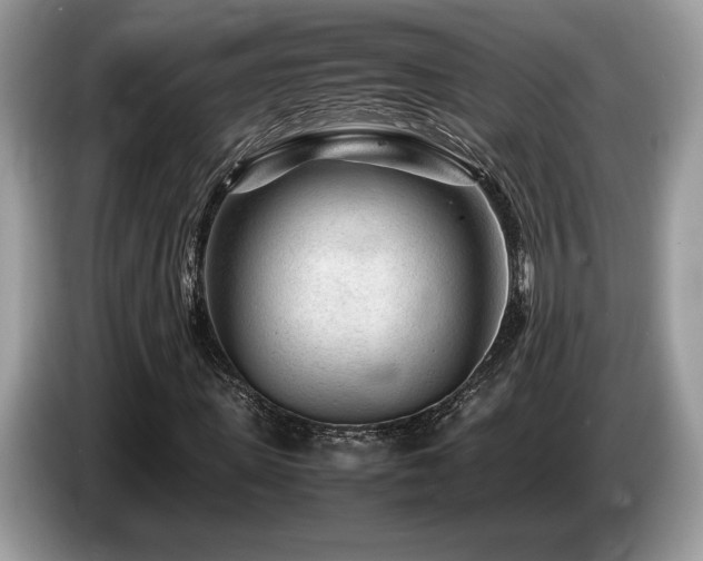 X0000087620915200704271355