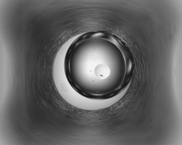 X0000087620916200704271355