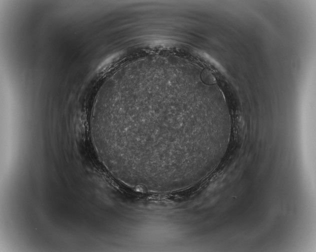 X0000087620918200704271356