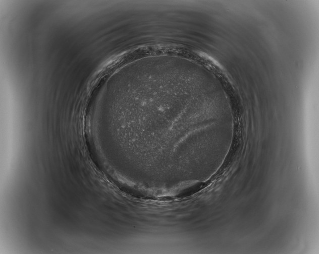 X0000087620919200704271356