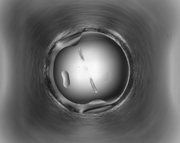X0000087620922200704271356