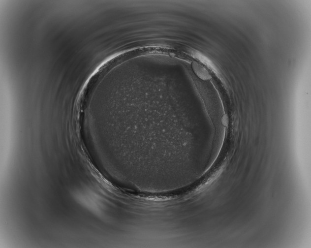 X0000087620923200704271356