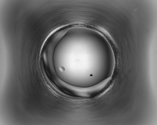 X0000087620924200704271356