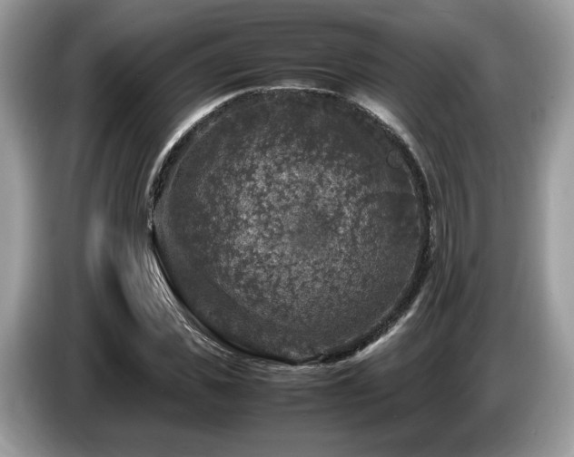 X0000087620925200704271356