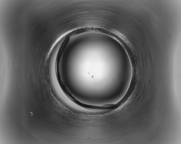 X0000087620926200704271356