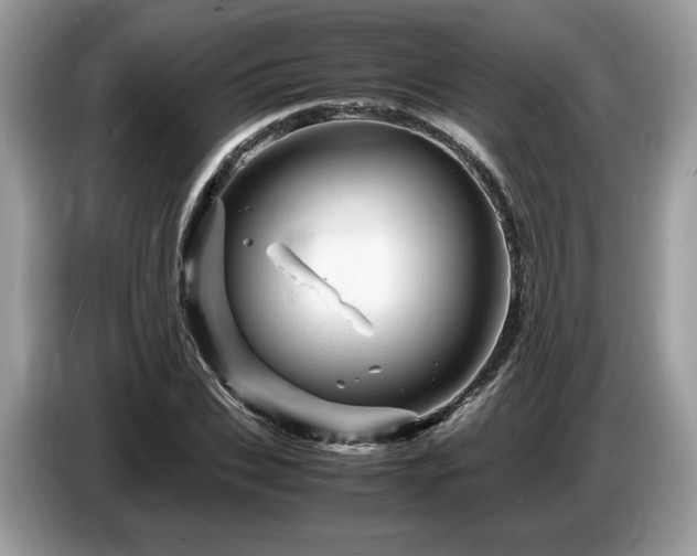 X0000087620927200704271356