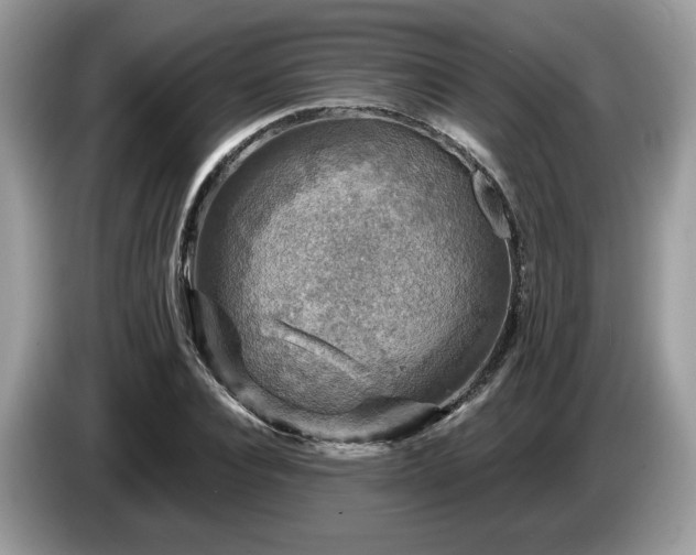 X0000087620928200704271356