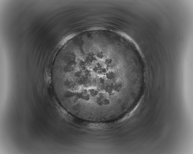 X0000087620929200704271356