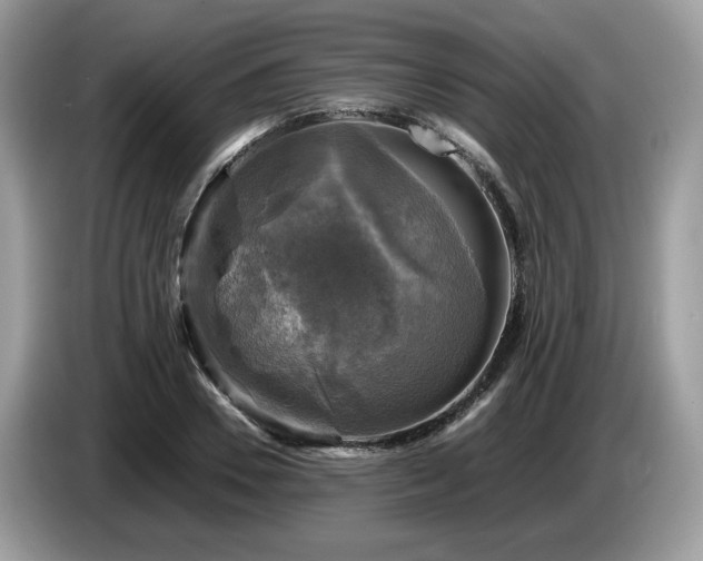X0000087620930200704271356