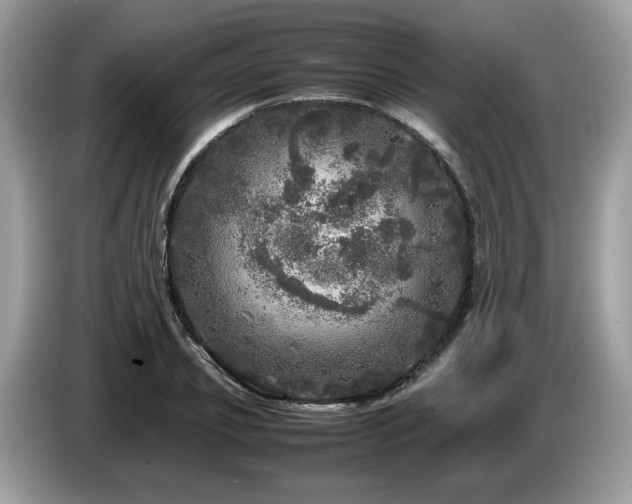 X0000087620933200704271356