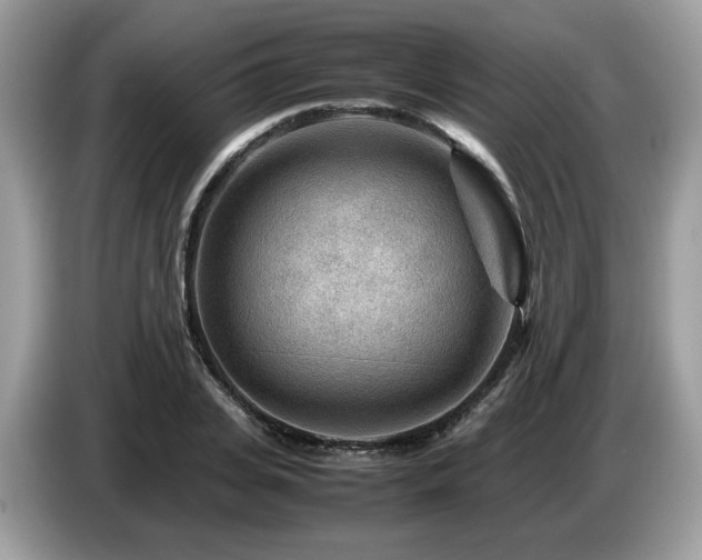 X0000087620935200704271356