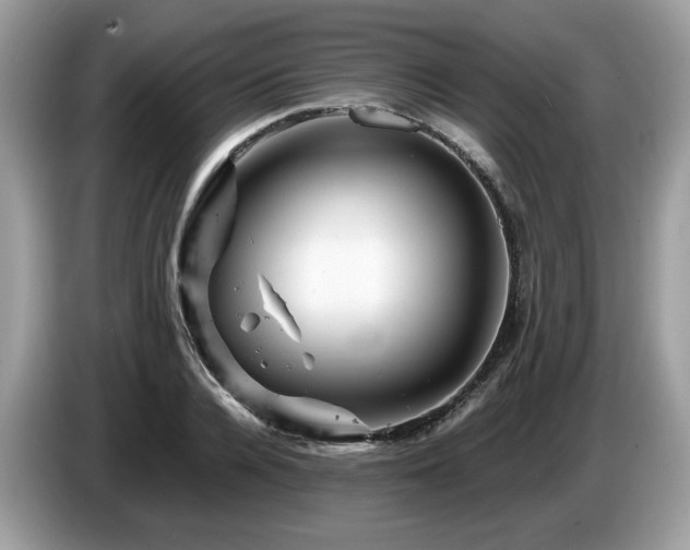 X0000087620936200704271356