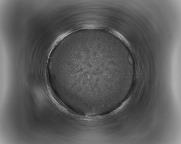 X0000087620938200704271356