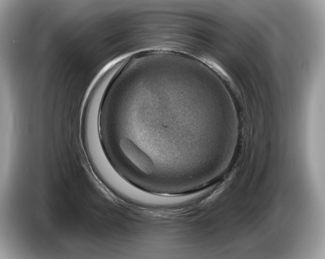 X0000087620940200704271356