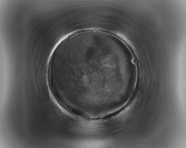 X0000087620941200704271356