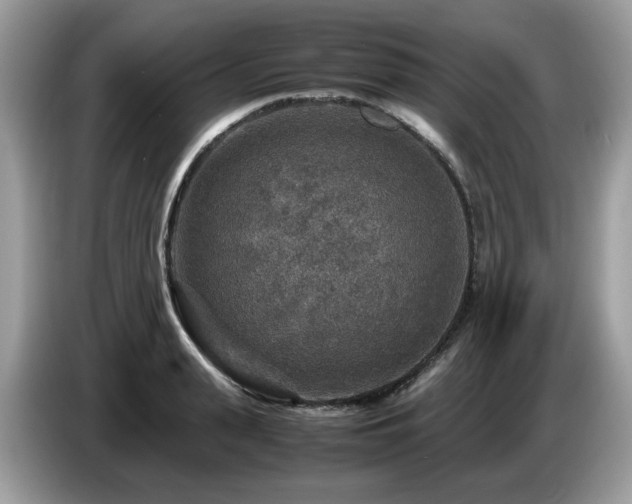 X0000087620943200704271356
