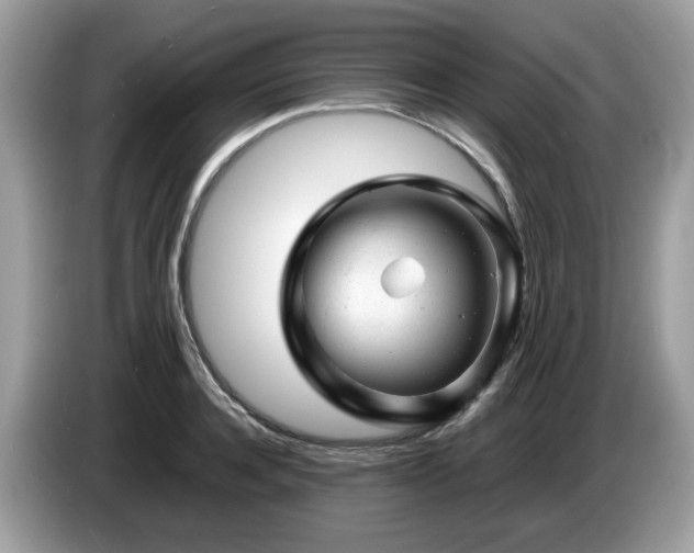 X0000087620944200704271356