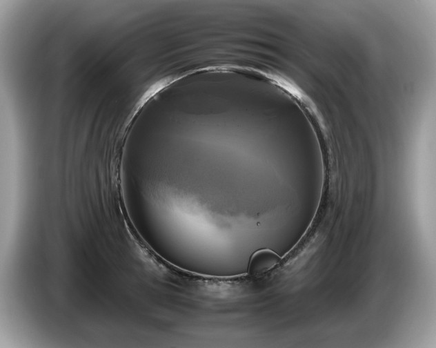 X0000087620945200704271356