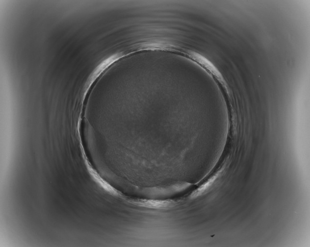 X0000087620946200704271356
