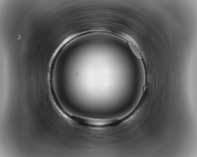 X0000087620947200704271356