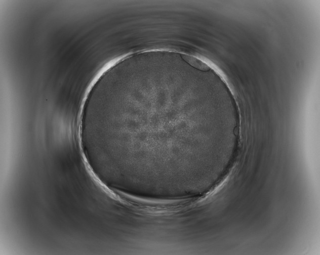 X0000087620949200704271356