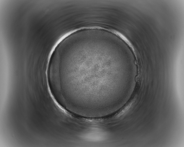 X0000087620951200704271356