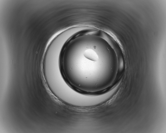 X0000087620952200704271356