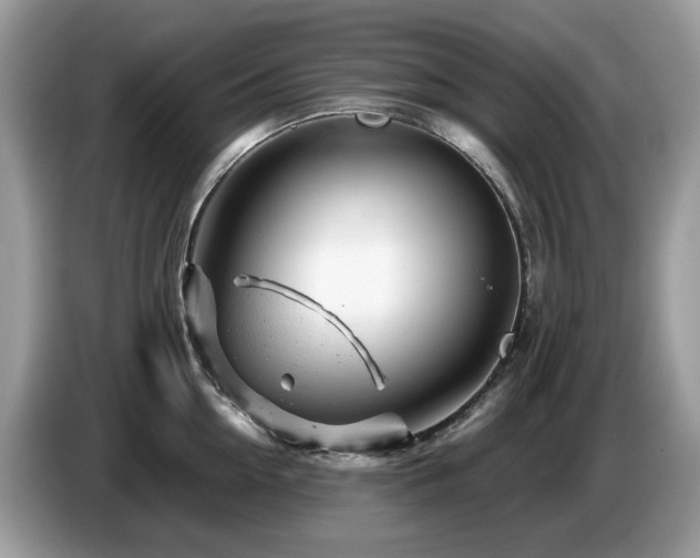 X0000087620954200704271356