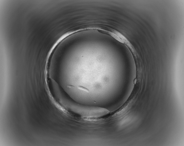 X0000087620955200704271356
