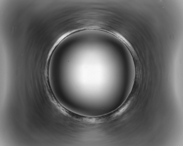 X0000087620956200704271356