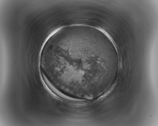 X0000087620957200704271356