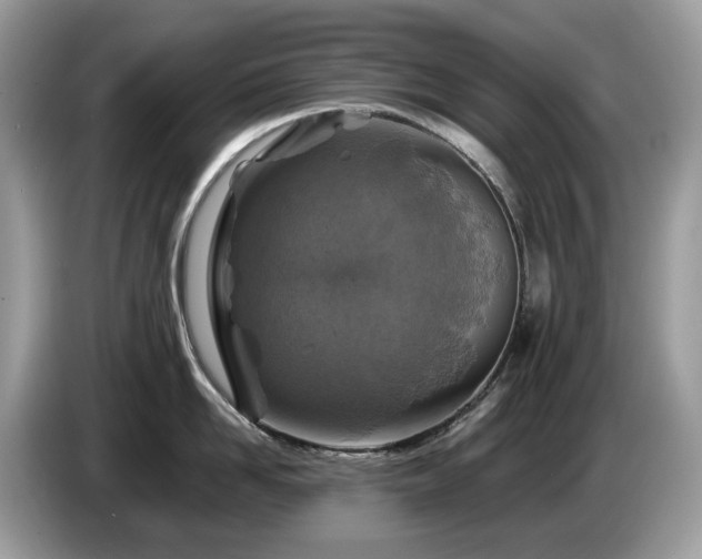 X0000087620958200704271356