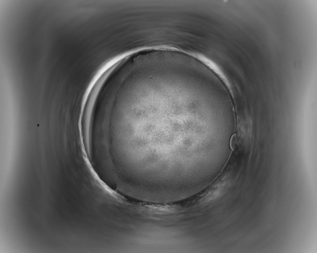 X0000087620959200704271356
