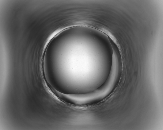 X0000087620960200704271356