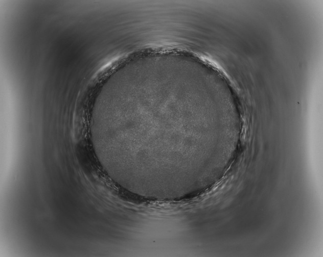 X0000087620967200704271355