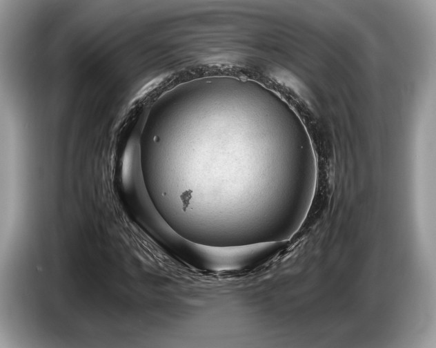 X0000087620968200704271355