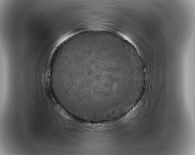 X0000087620971200704271355