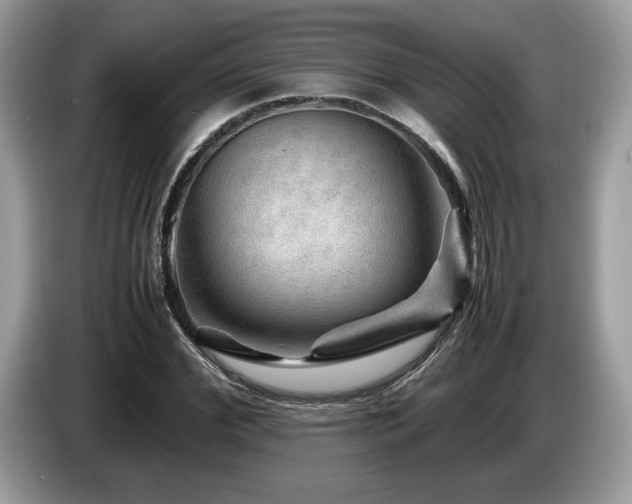 X0000087620972200704271355