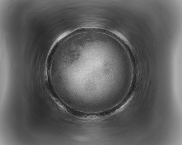 X0000087620974200704271355