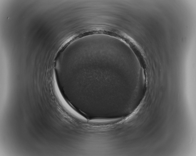 X0000087620977200704271355