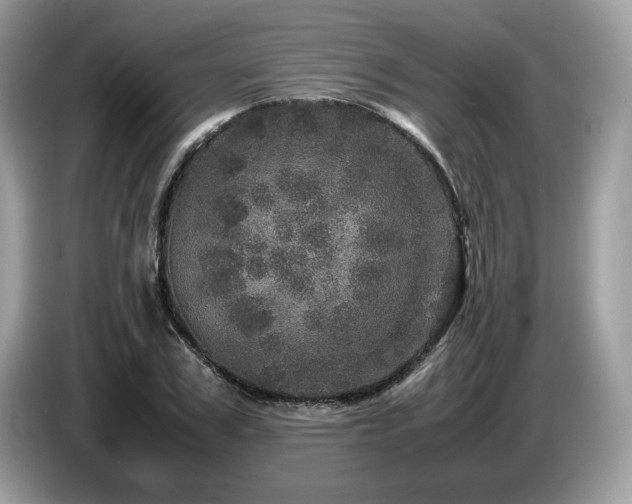X0000087620979200704271355